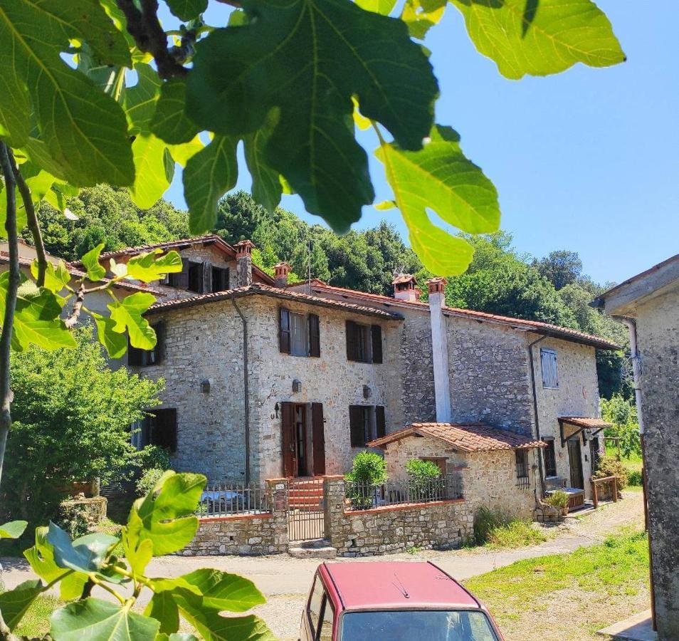 Chiatri Cara House Tuscany - Zona Lucca מראה חיצוני תמונה